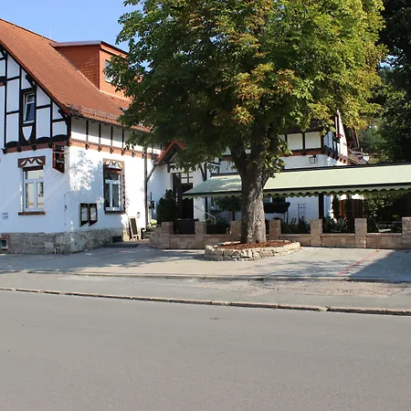Gasthof und Pension Frankenthal-2